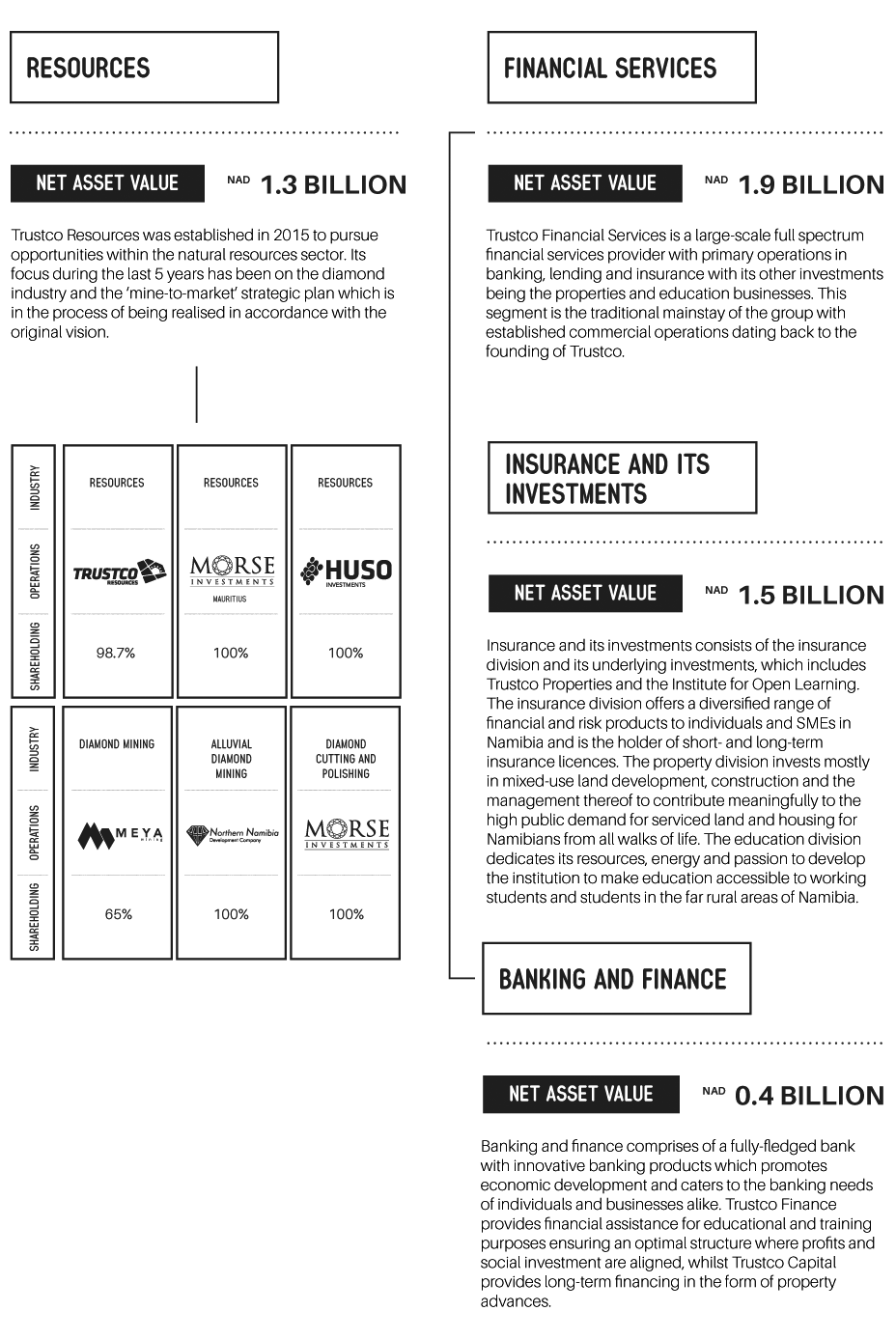 InvestmentProfileAprilUpdate07 Trustco Group Holdings